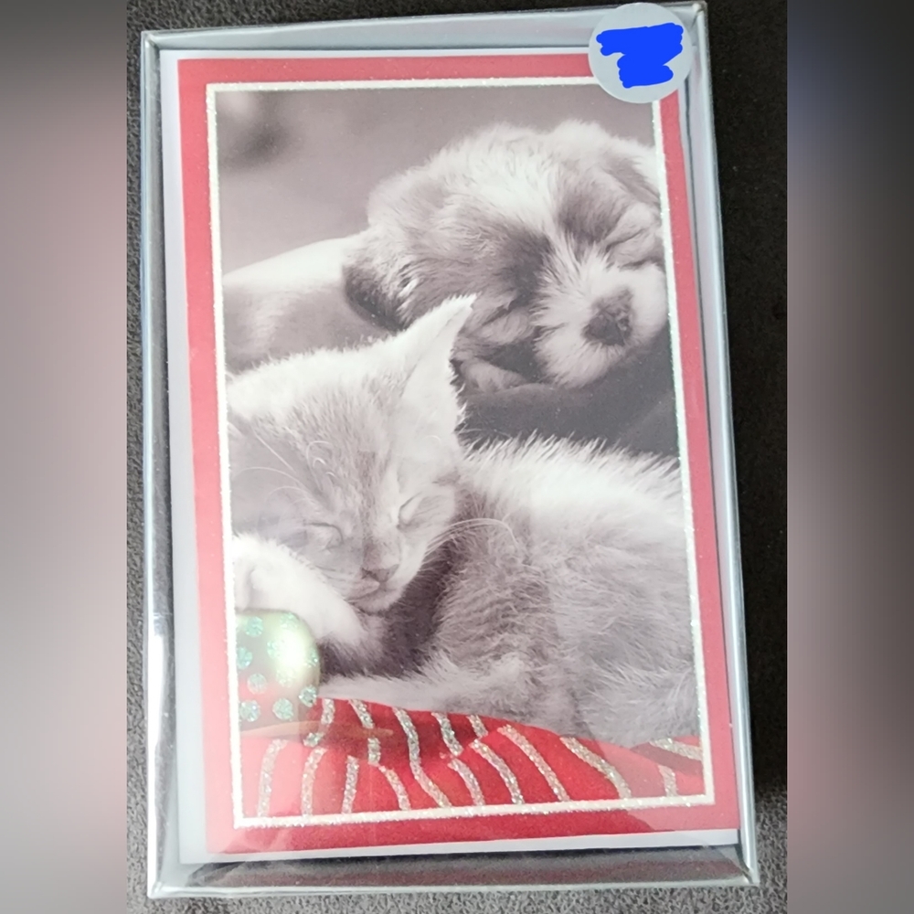 American Greetings Puppy Kitten Glitter Holiday Boxed Cards One Design 6 Count